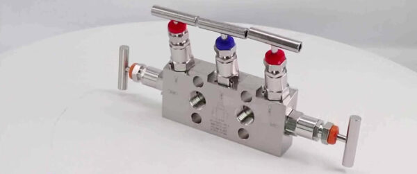 Stainless Steel 310 Manifold Valves, 310 SS 2 way, 3 way, 5 way ...