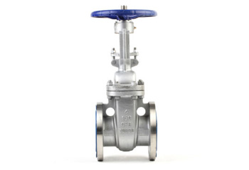 Stainless Steel Cast Steel Gate Valve